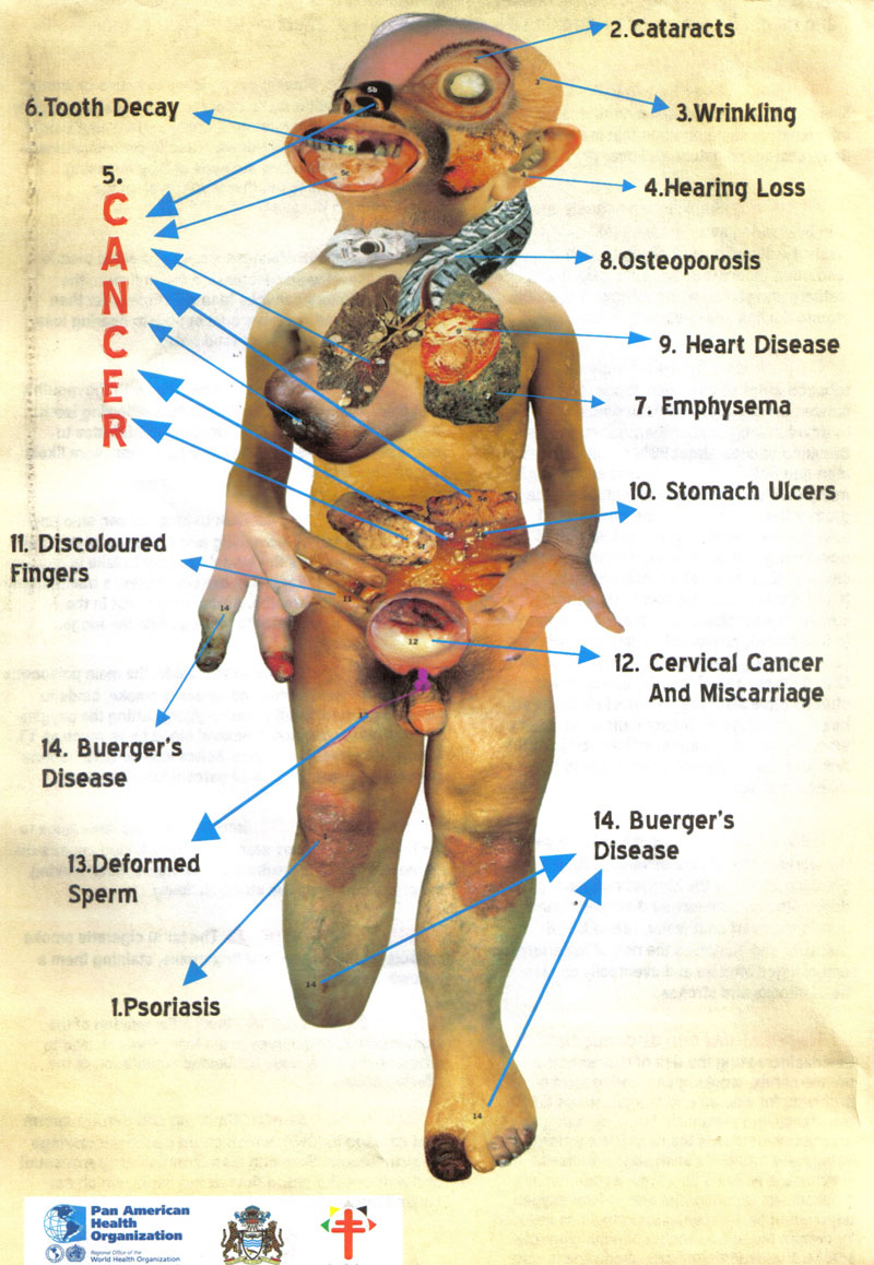 CIGARETTE EFFECTS ON THE BODY