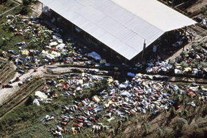 Image result for jonestown victims