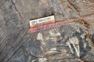 This GFC tag on the logs would clearly indicate that forest rangers were aware that logging has taken place in Kwebana.