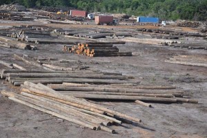 Wide-angle views of a section of Bai Shan Lin’s massive Kwakwani operations.