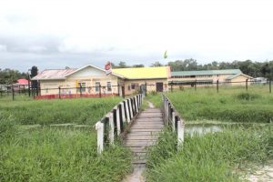 The surroundings of the Prospect Nursery school. 