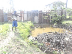 Vibert Henry points to the pond at the back of his yard where the young burglar tried to hide.   