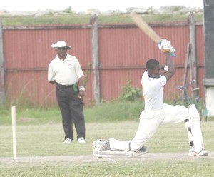 Skipper Royston Alkins staged a lone battle with a defiant 46 as his team lost to Berbice by eight wickets yesterday.