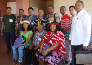 The Surinamese delegation