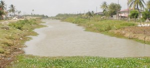 A secondary drainage canal within the Profit /Rising Sun NDC.