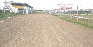 The venue for the action has been spruced up and is ready for what promises to be an exciting day of horseracing.