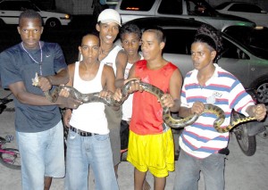  Albouystown snake catchers show off  their catch (Chavez Fernando is second from left)