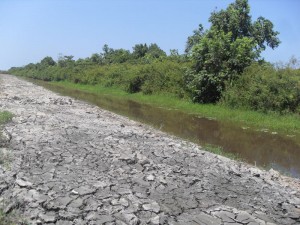 The canal which is currently being excavated by the  Agriculture Ministry in Rosenanti Tuschen Backland, EBE. 
