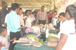 Minister of Agriculture Robert Persaud checking out the display of agricultural products by residents of Moraikobai.