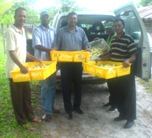 Ramjattan and Patterson (centre) with two pastors from the community who collected the chicks to distribute.