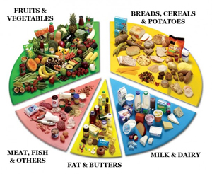 Caribbean Food Group Chart