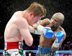 Alvarez feels the weight of a Mayweather punch. (AFP Getty Images)