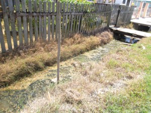 Stagnant water in the community’s drains