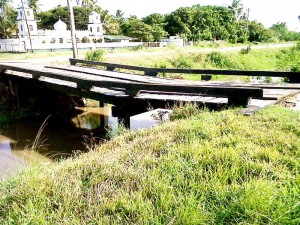 The 13-day-old Cane Grove bridge that sank after an excavator used it as pathway.