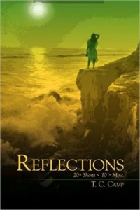 The book cover of Reflections