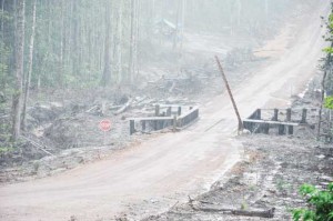 A section of the Amaila Falls Access road at one of the many crossings.