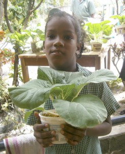 Adorable Shania Layne shows off one of the pak-choi plants.