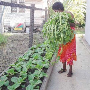 Mrs. Shelto examines some of her crops