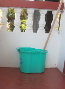  A mop pail left in the open to collect rainwater provides a possible breeding site 