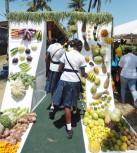 Local produce on display at NAREI