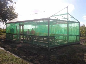 Exterior of CPGI greenhouse structures