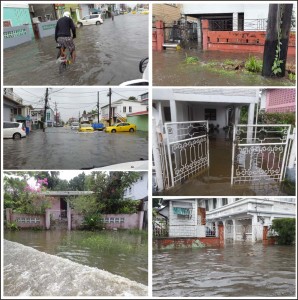 Some of the flooded areas across the city yesterday.