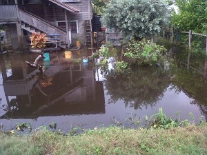 One of the flooded yards at Queenstown and Charity in Essequibo