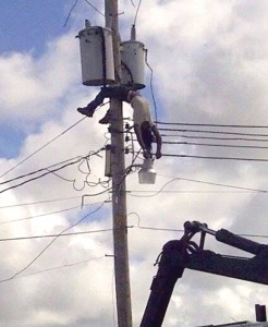 The unconscious GPL employee dangles from the utility pole.
