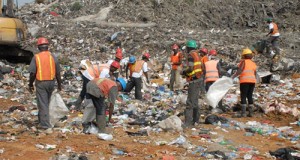 Haags Bosch landfill site fostered the legitimacy of waste pickers