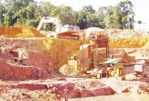 The Guyana Gold Board is upbeat that the industry will see better world price next year. 
