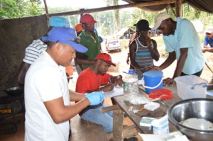 Vector Control workers at work