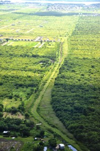 An aerial view of the area where government  says it wants to build a new road to link the East Bank and East Coast Demerara highways.