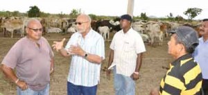 President Donald Ramotar makes a point to one of the technical personnel at the Meriwau ranch, Region Nine.
