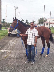 Here and ready to burn up the track for The Guyana Cup Fever, Diplomatic Cat with owner Sean Bacchus.
