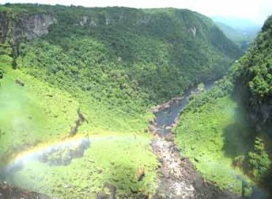 ECHO wants logical road map to protect Guyana’s natural environment