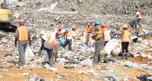  The Haags Bosch landsite is the main dump area for waste from Georgetown and its environs.