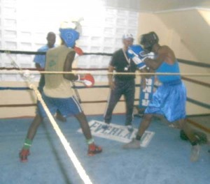 Two of the boxers engaged in sparring sessions under the guidance of Roldan (with cap) and Sebert Blake.