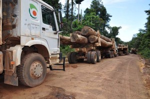 File Photo: Bai Shan Lin trucks with logs in Region One.