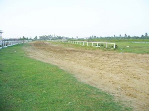 The Bush Lot United Turf already looks in good condition. 