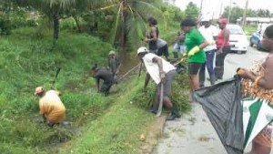 Efforts of cleanup campaign in B Field, Sophia