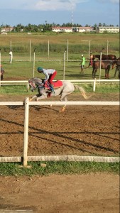 Jack In My Style and Street Prince looking ready during practice for Sunday’s Emancipation Horse race meet at Sea View Park, Bush Lot West Coast Berbice. 