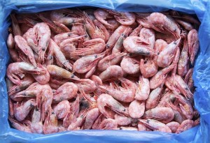US prosecutors are working on a plea deal with the Guyanese fish exporter over 268 kilos of cocaine stuffed inside frozen shrimp.