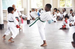Eight-year old Owen Betton (left) got the better of Clint Jones in the Kumite at YMCA yesterday. 