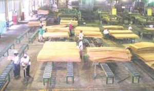 Plywood operations at Barama.