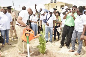 President Granger waters the first tree, which he planted, as   part of the National Tree Planting Day exercise, at Bartica.