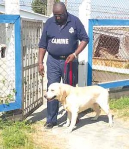 Corporal Hosannah Floyd, also a handler and a Labrador retriever