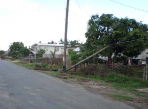 Fallen poles seen along the Crane Old Road yesterday.