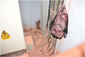 Exposed wires at the Kurubuka mining site.