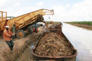 GuySuCo says it is nearing 200,000 tonnes in sugar for the year with 87.6 percent of the target reached.