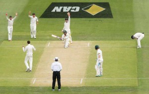 The DRS debate: Nathan Lyon was controversially given not out, Australia v New Zealand, 3rd Test, Adelaide, 2nd day, November 28, 2015 ©Getty Images